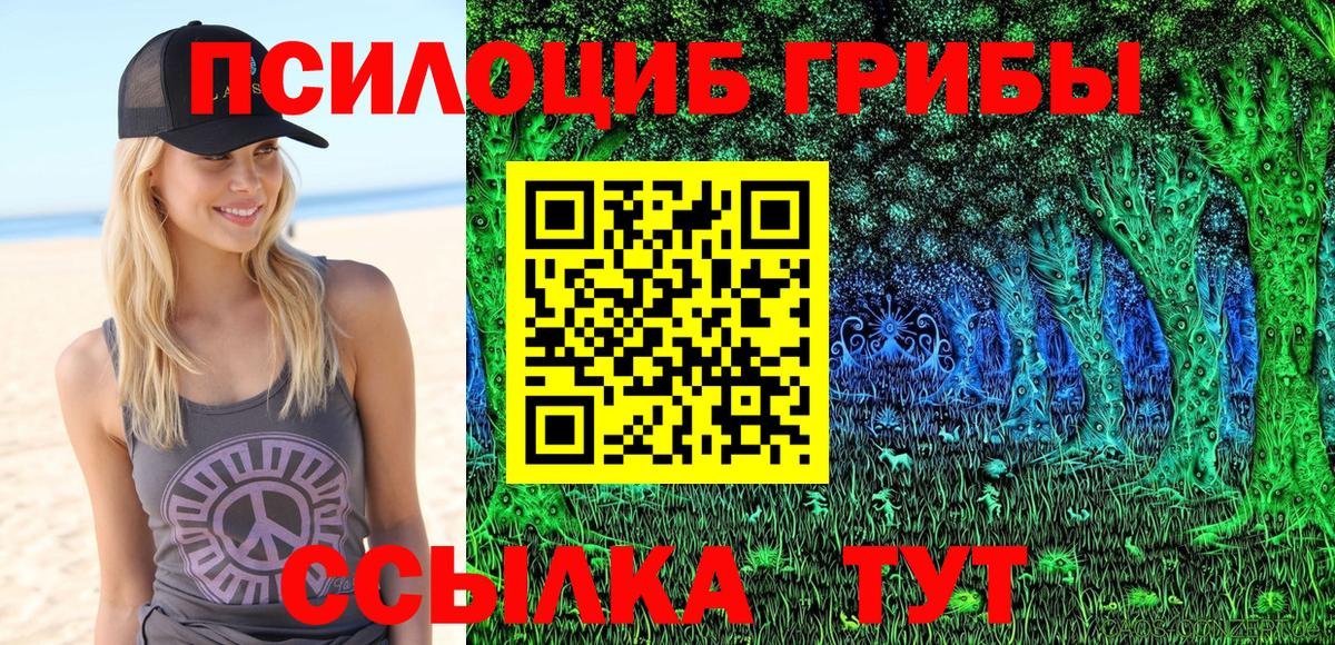 Стрежевой  Галлюциногенные грибы Psilocybine cubensis  Псилоцибиновые грибы прущие грибы  купить закладку  Вход с VPN 
